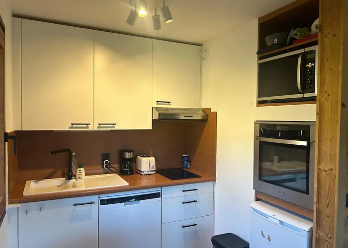 公寓 Sunny 2 Bedrooms For 4 In Jaillet, Right On The Slopes 梅杰夫