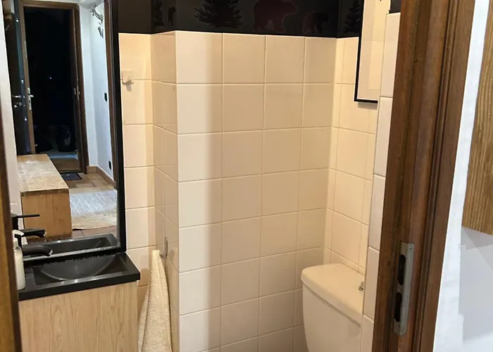 Sunny 2 Bedrooms For 4 In Jaillet, Right On The Slopes * 梅杰夫