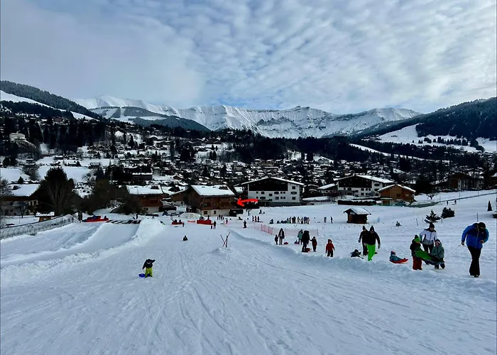 Sunny 2 Bedrooms For 4 In Jaillet, Right On The Slopes 公寓 梅杰夫